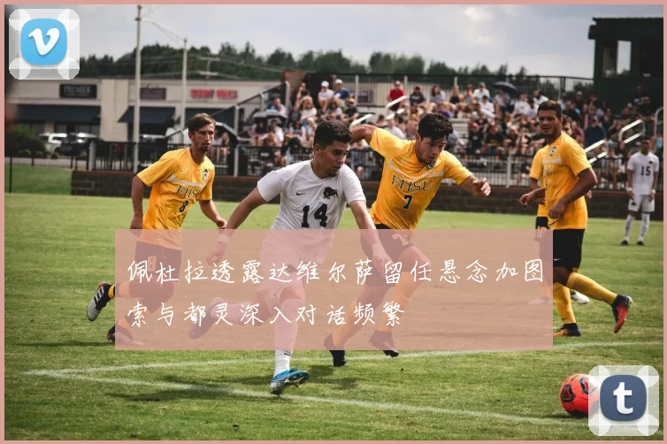 佩杜拉透露达维尔萨留任悬念加图索与都灵深入对话频繁