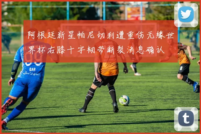 阿根廷新星帕尼切利遭重伤无缘世界杯右膝十字韧带断裂消息确认